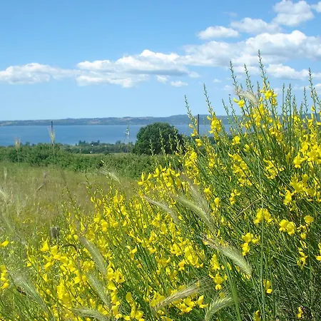 Relax In Piazzetta Casa E Per Vacanze Trevignano Romano